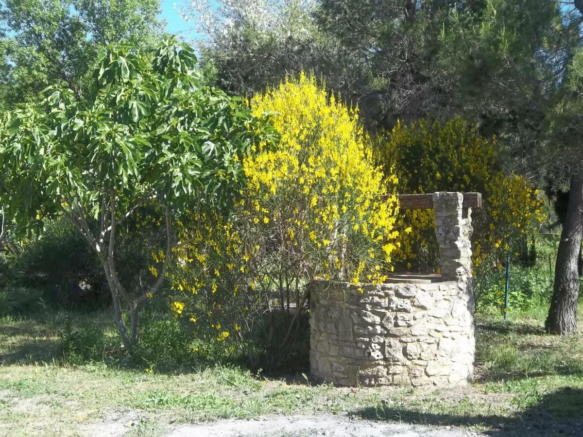 B&B Le Petit Frigouye Rochefort-du-Gard Exterior foto
